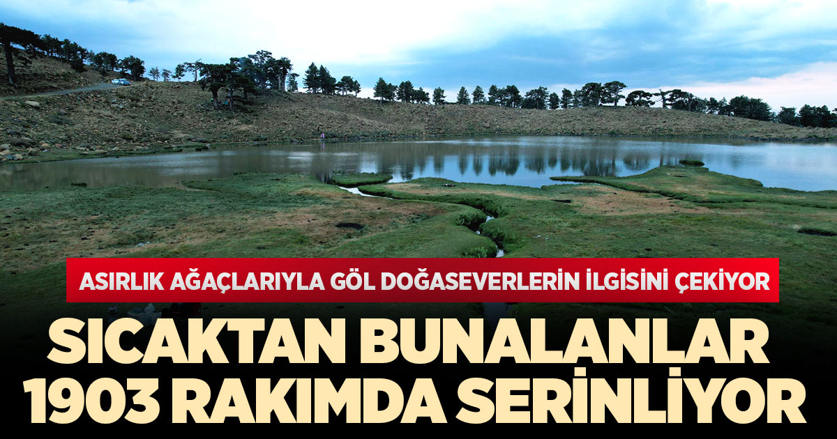 Asırlık ağaçlarıyla göl doğaseverlerin ilgisini çekiyor