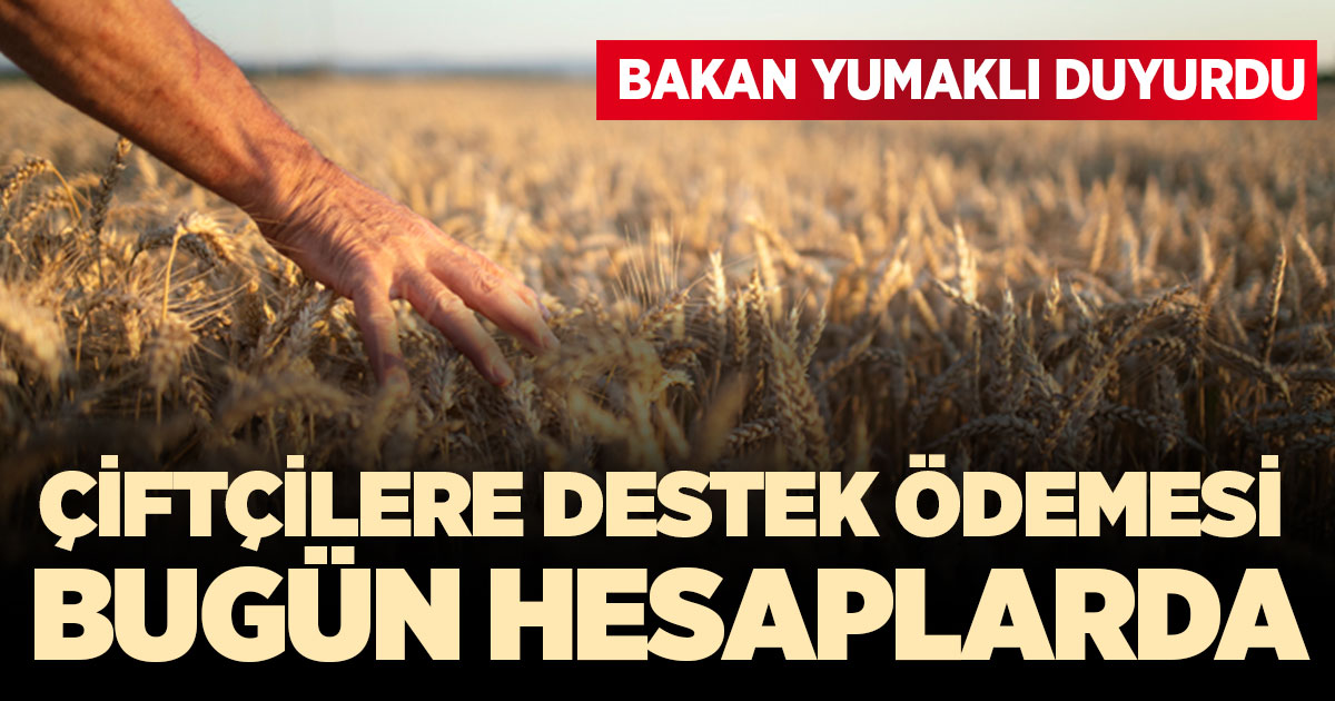 Çiftçilere destek ödemesi bugün hesaplarda