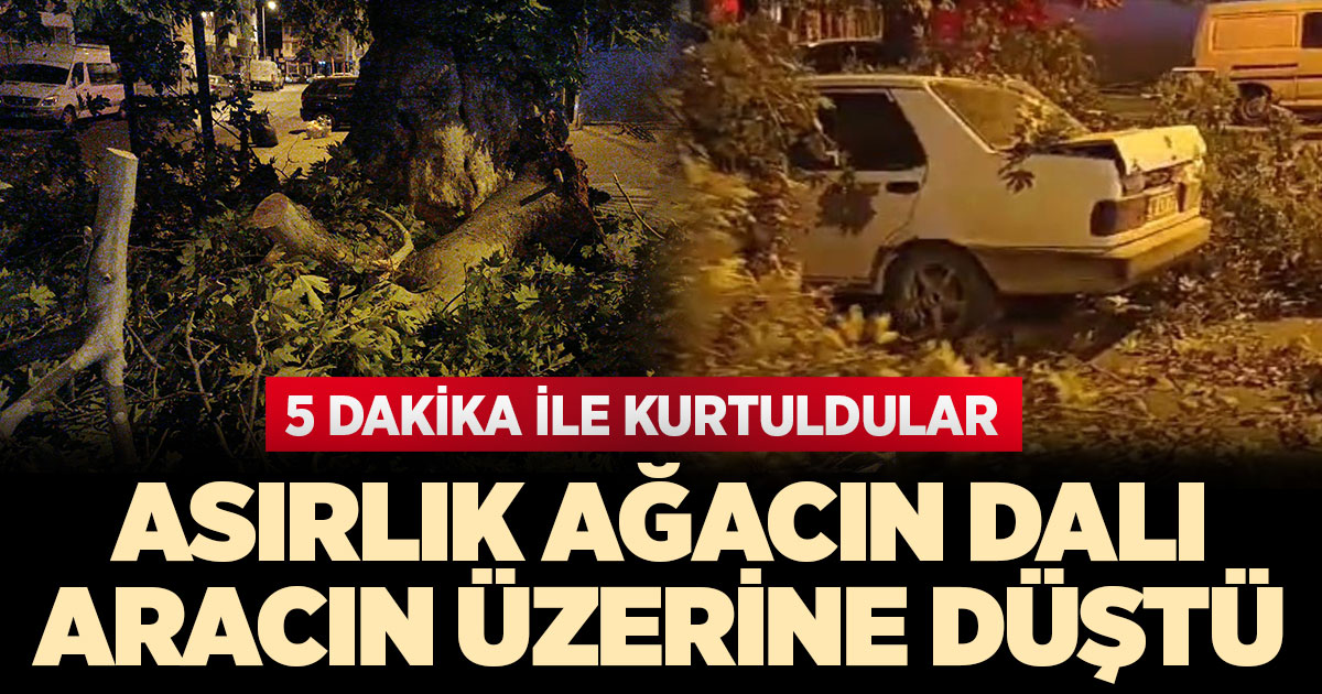 Asırlık ağacın dalı aracın üzerine düştü