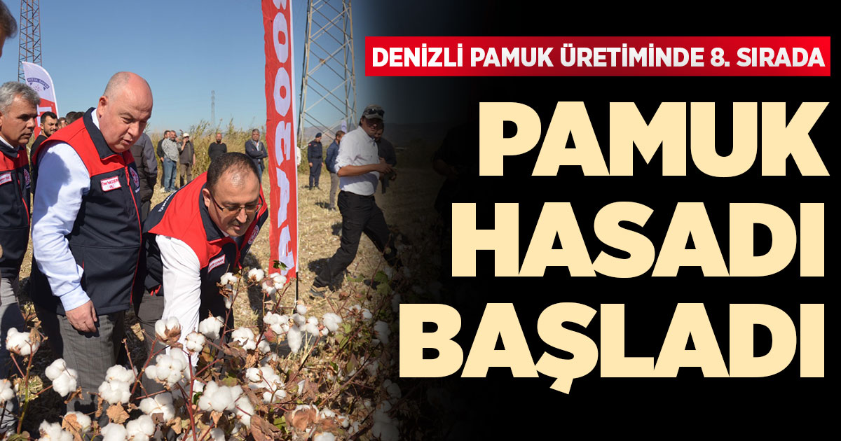 Denizli'de pamuk hasadı başladı