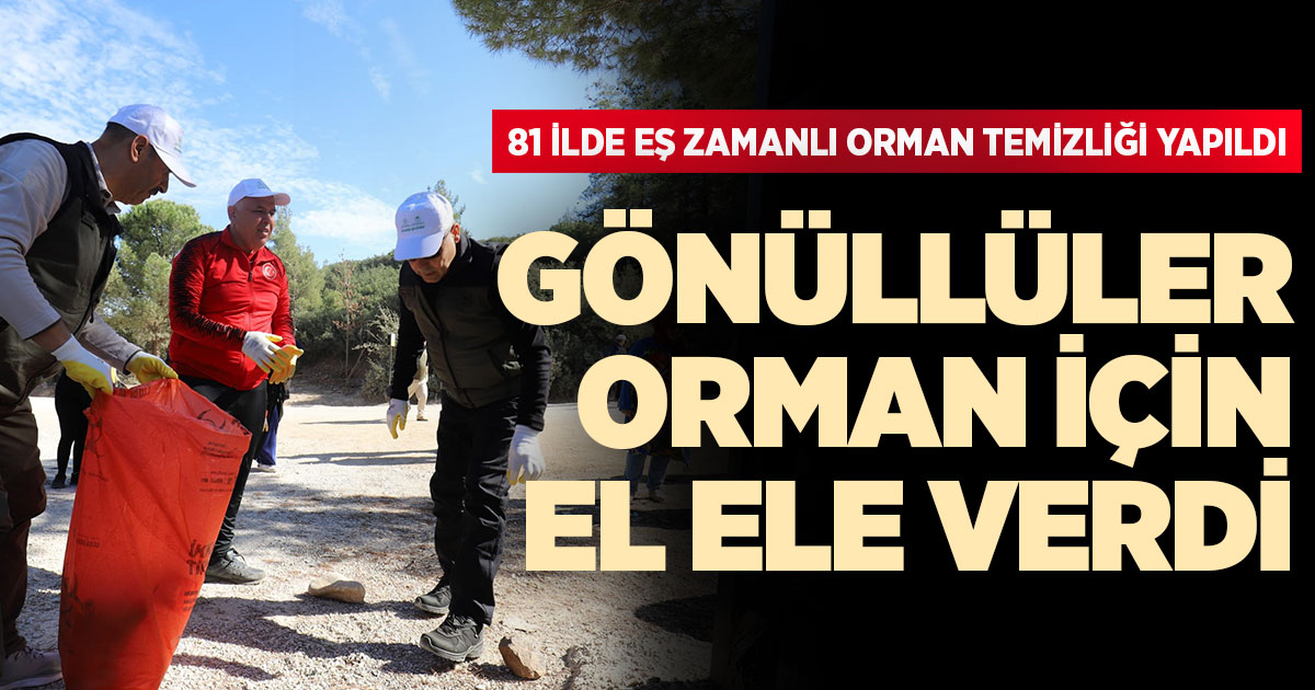 Gönüllüler orman için el ele verdi